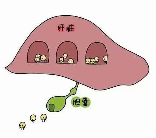 圖文圖片