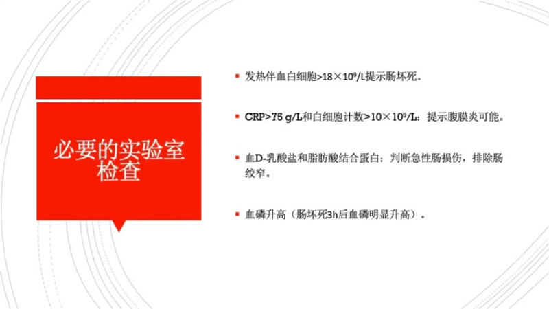 小肠梗阻专家共识