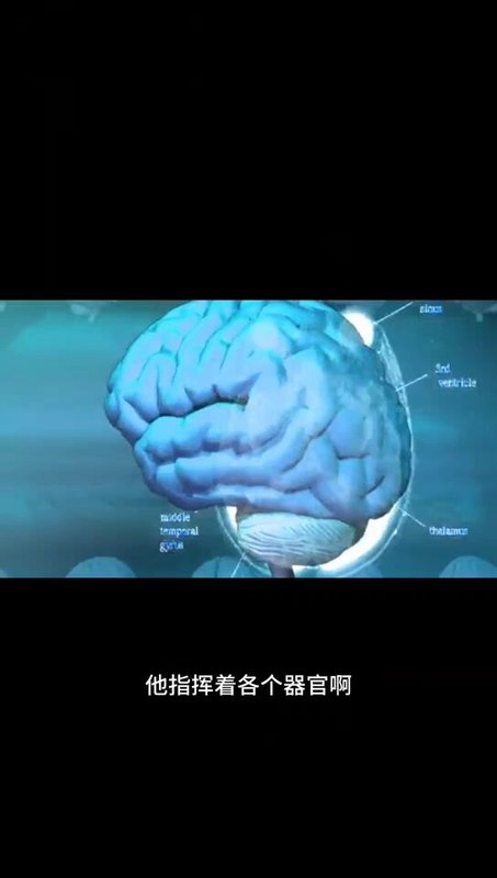 颈动脉斑块严重的判定（血脂危险分层）