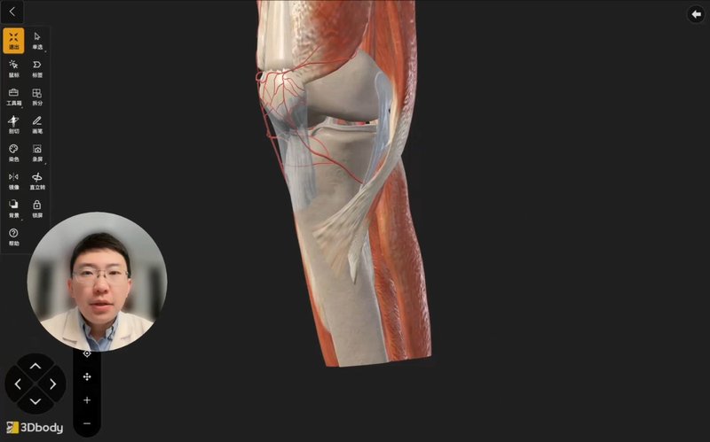 腘绳肌取腱用于前交叉韧带重建，取腱位置在哪？有啥影响？