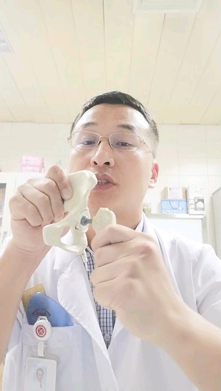 髋关节的结构和髋关节置换讲解