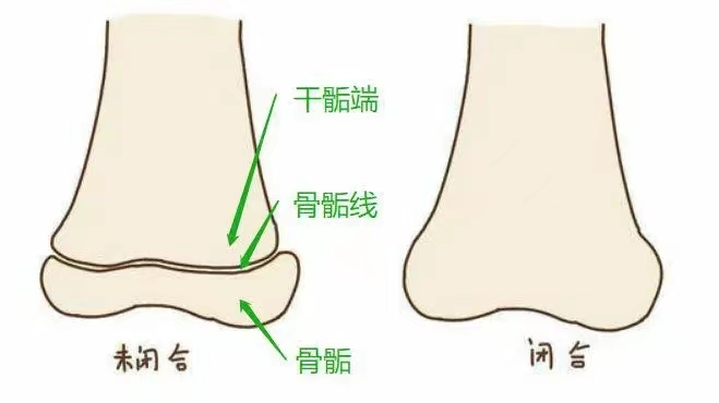 圖文圖片