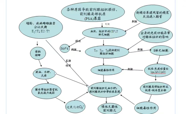 图文图片