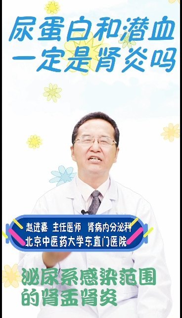 尿蛋白和潜血一定是肾炎吗？