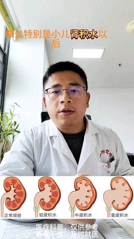 肾积水的进展