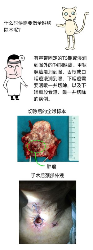 圖文圖片