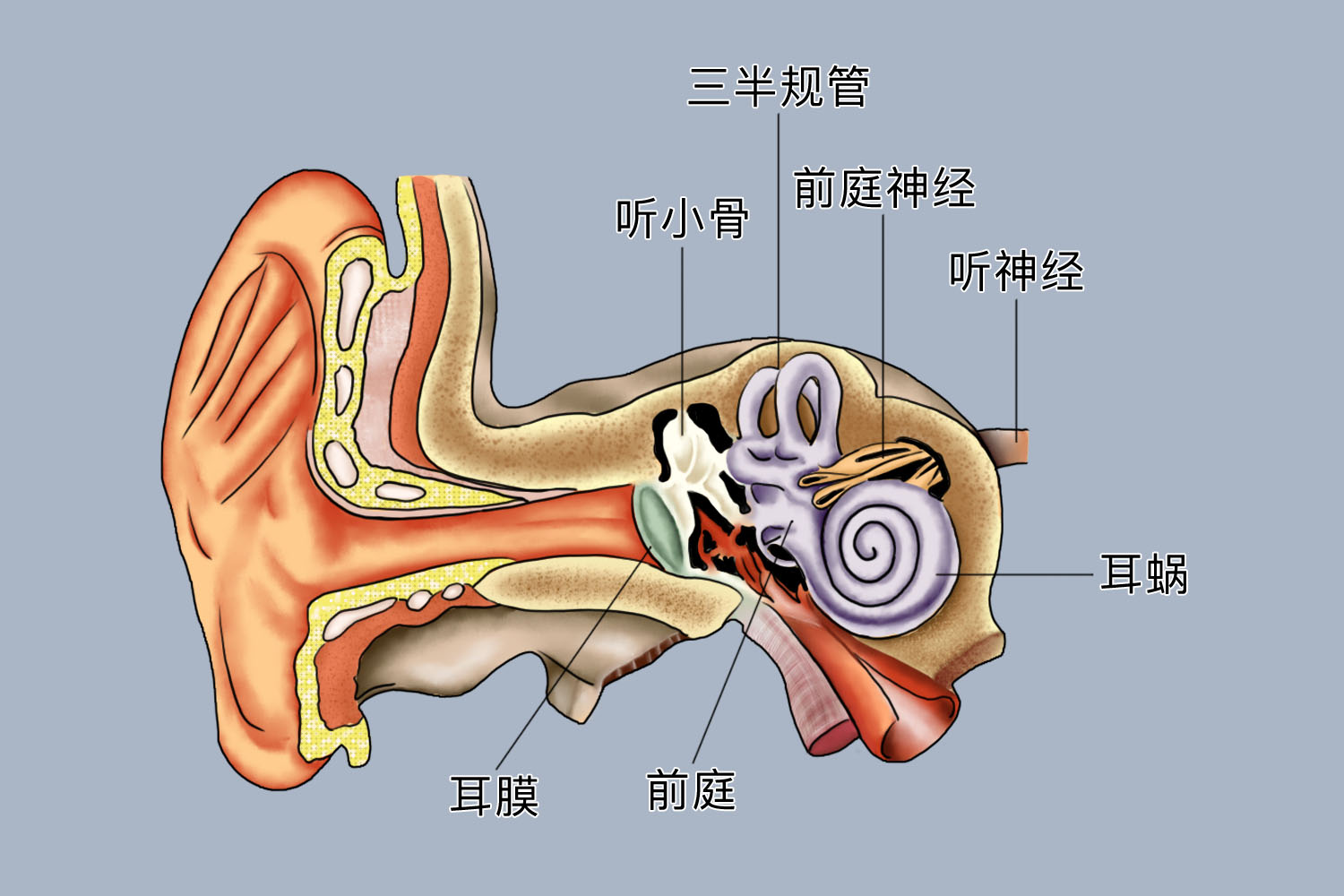 圖文圖片