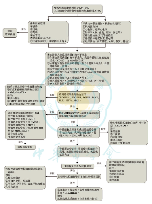 图文图片