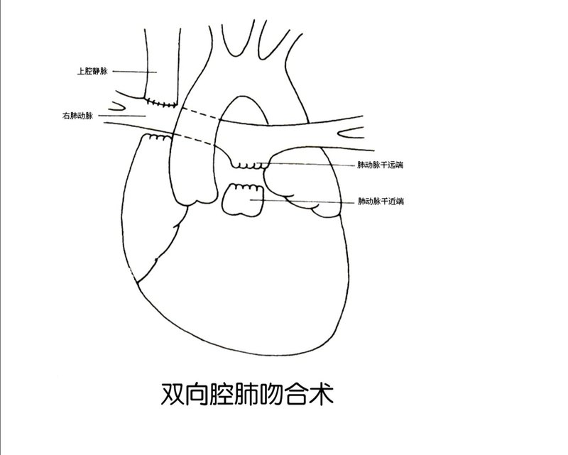 圖文圖片