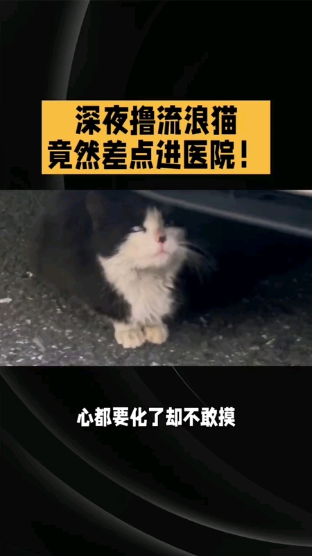 視頻封面