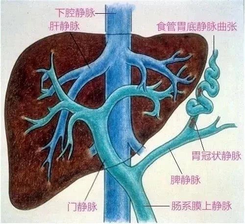 圖文圖片