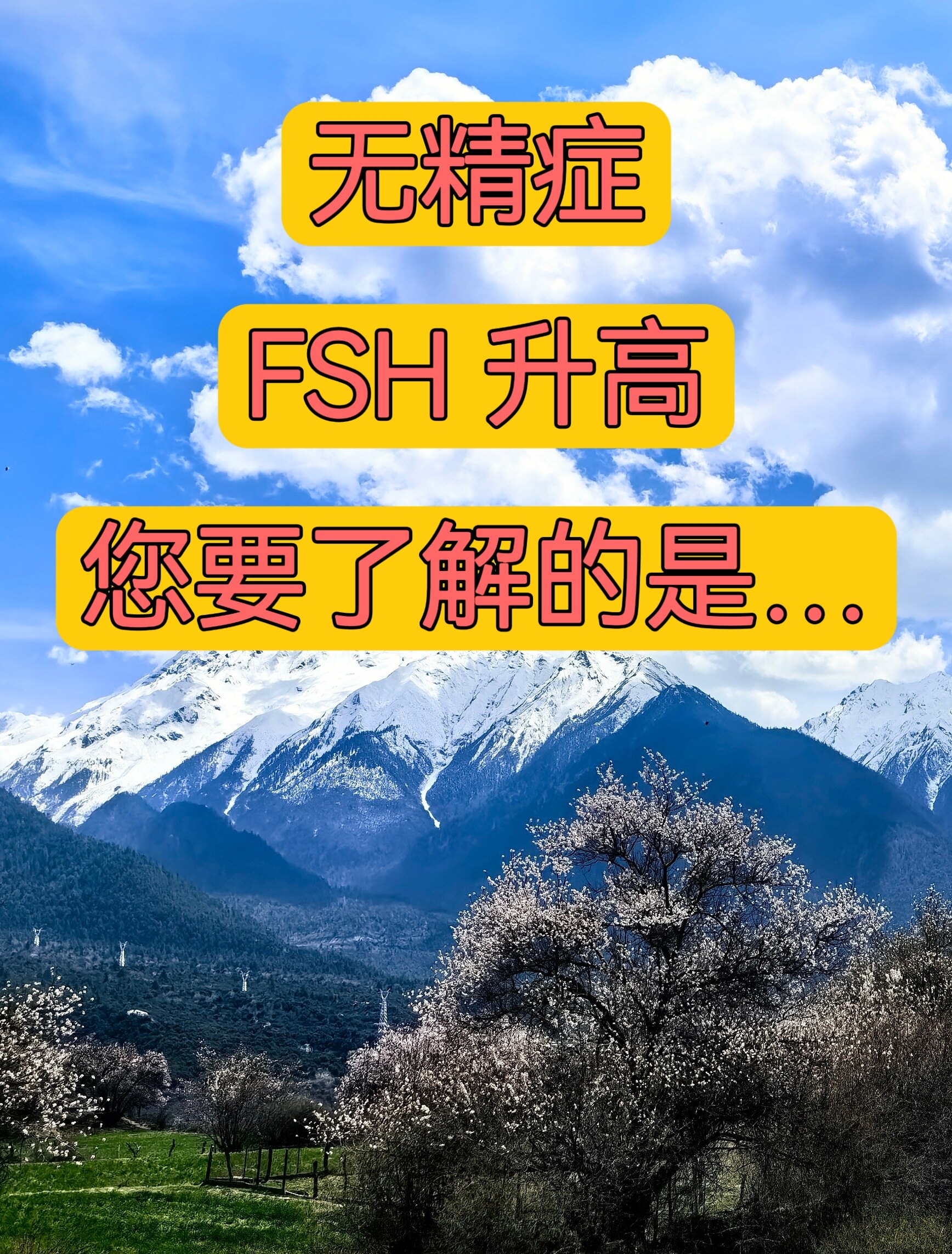 圖文圖片