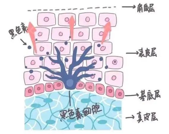 圖文圖片