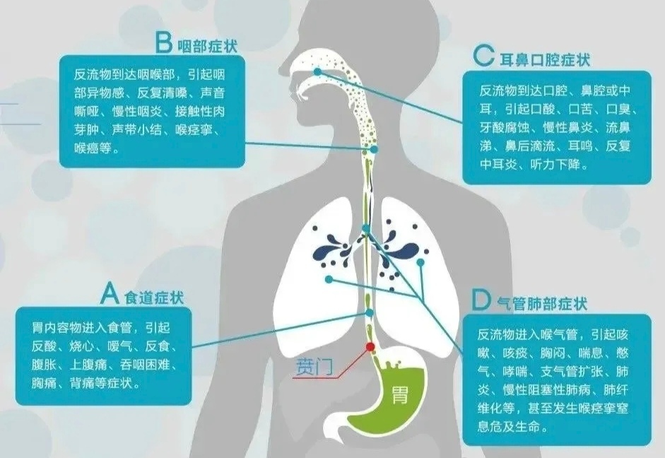 图文图片