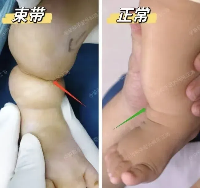 图文图片