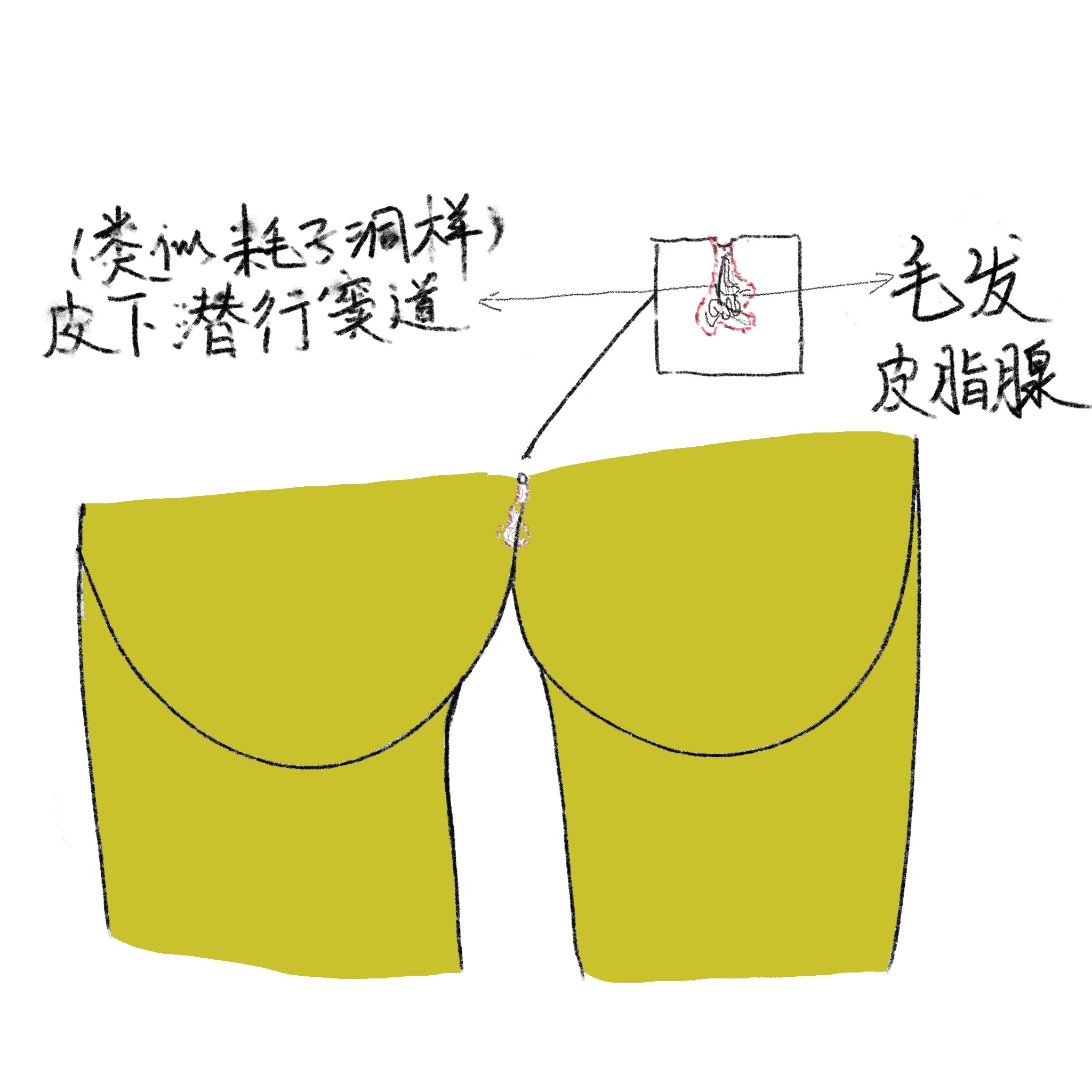 圖文圖片