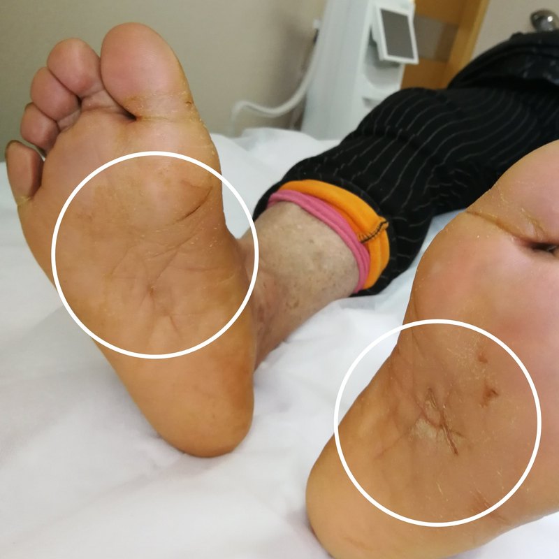 北京309医院、朝阳区黄牛专家预约挂号的简单介绍