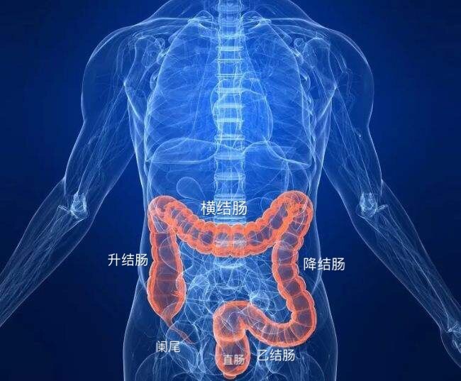圖文圖片