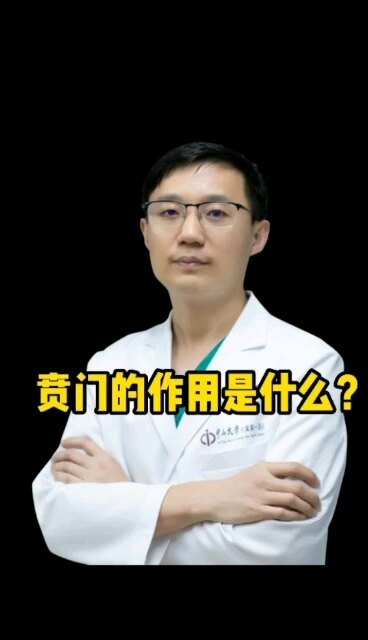 贲门的作用是什么？