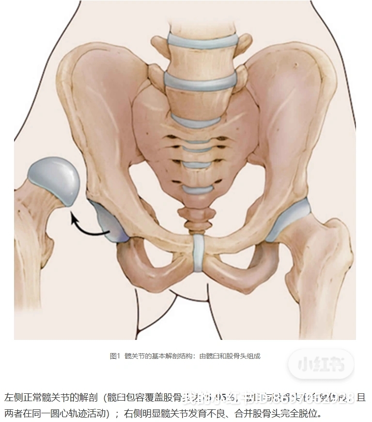 圖文圖片