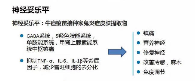 圖文圖片