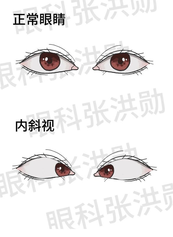 图文图片