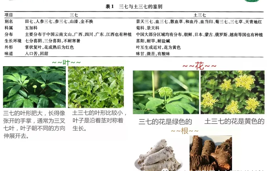 图文图片