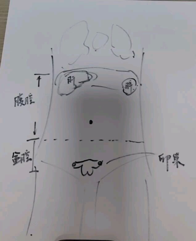 視頻封面