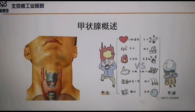 甲状腺是干什么的？