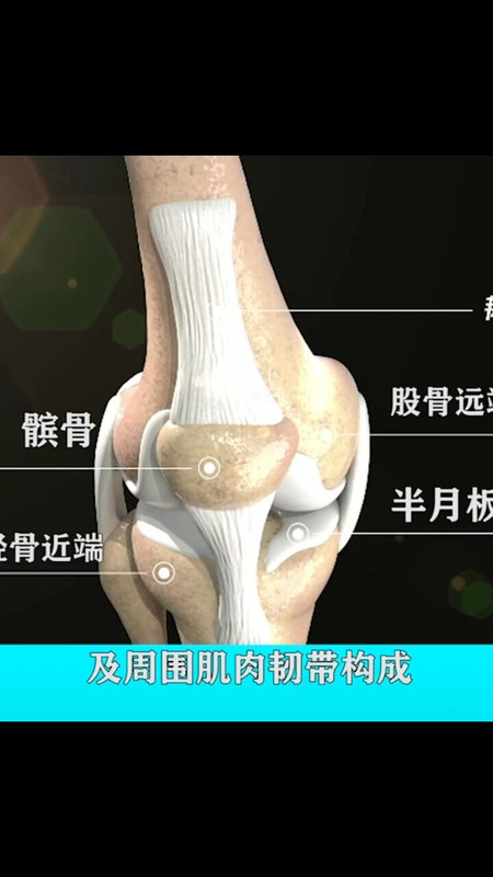 膝关节增生是如何形成的