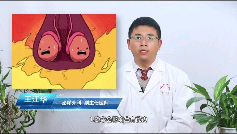 正确认识隐睾-隐睾的危害