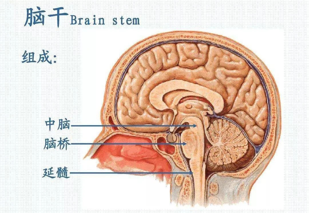 圖文圖片
