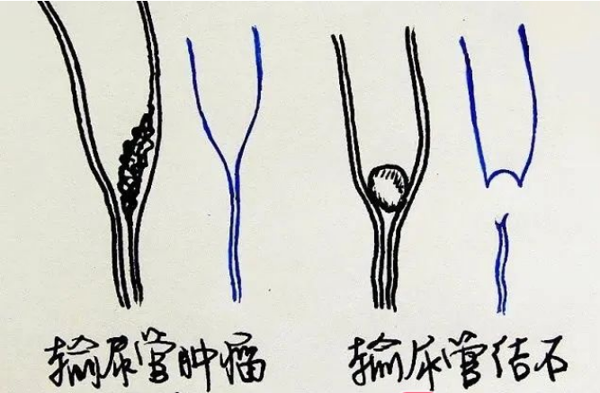 圖文圖片