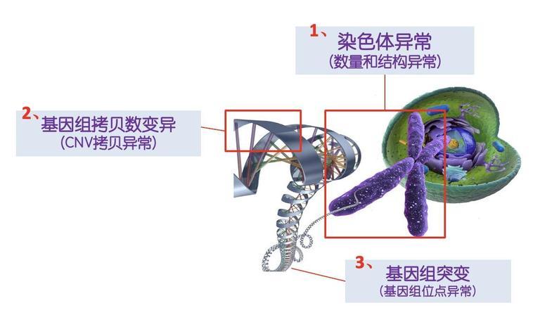 圖文圖片