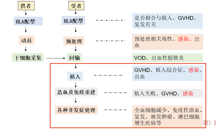 圖文圖片