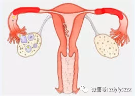 圖文圖片